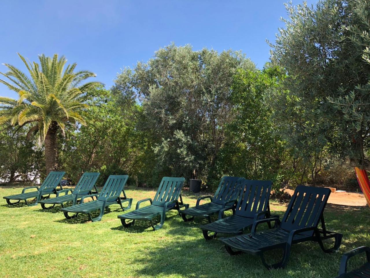 Quinta Da Joia Βίλα Silves Εξωτερικό φωτογραφία