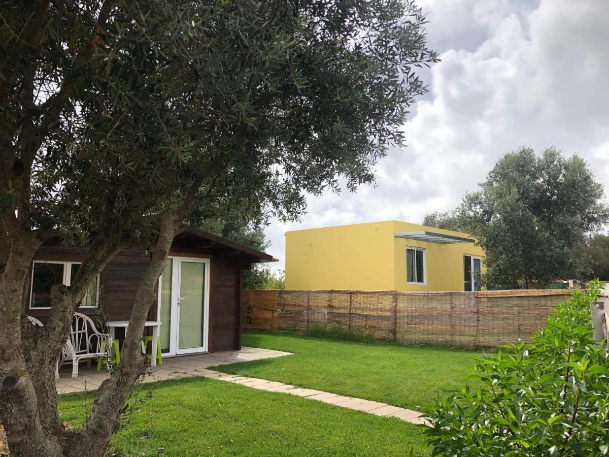 Quinta Da Joia Βίλα Silves Εξωτερικό φωτογραφία